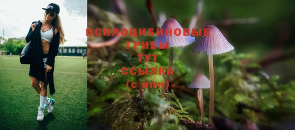 дмт Балахна