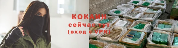 кокс Аркадак
