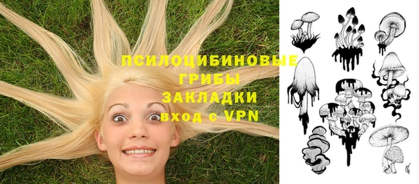 дмт Балахна