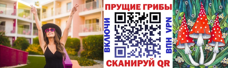 купить наркотики цена  Спас-Деменск  hydra ссылки  Псилоцибиновые грибы MAGIC MUSHROOMS 